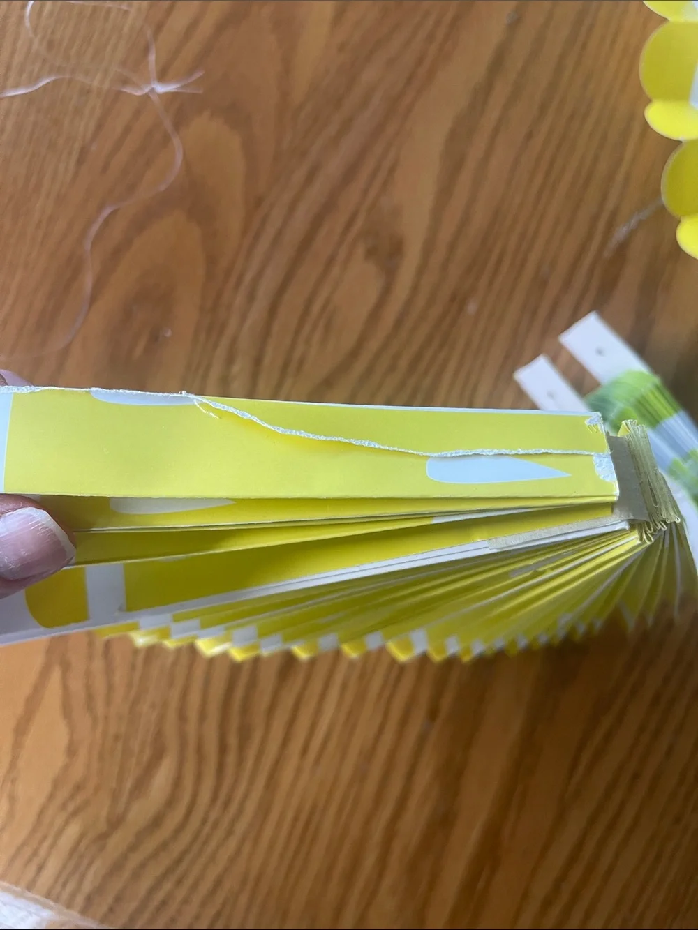 Lemon & Lime Party Decorations - Green and Yellow Ginger Ray 🌺